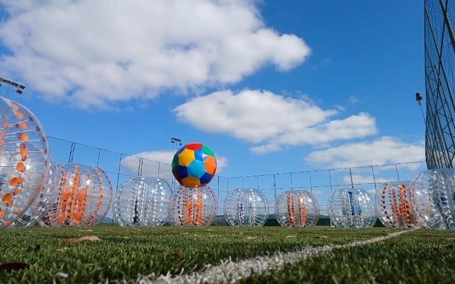 Conjunto de jogos de bolas de balanço de agitação, Diversão para o  brinquedo de jogo da família com 24 bolas, Jogos ao ar livre dentro de casa  para