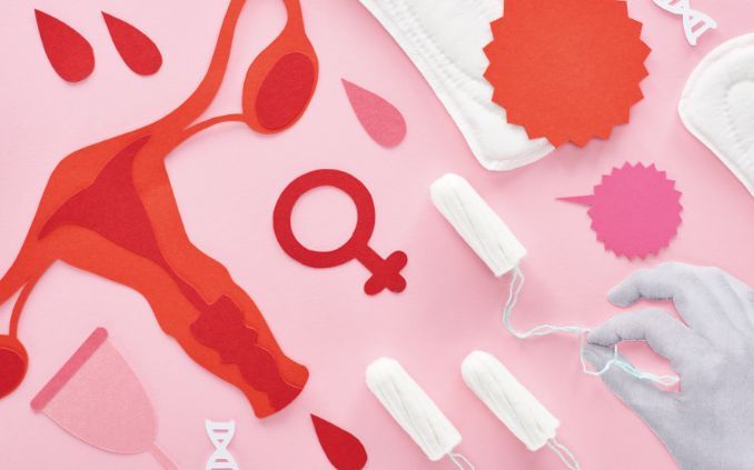 CNJ on X: Toda pessoa que menstrua tem direito à dignidade menstrual, isto  é, acesso à higiene. A Lei 14.214/2021 garante a oferta gratuita de  absorventes higiênicos femininos e outros cuidados básicos
